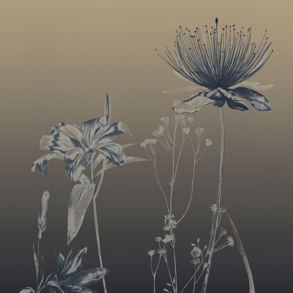 Dream Bloom