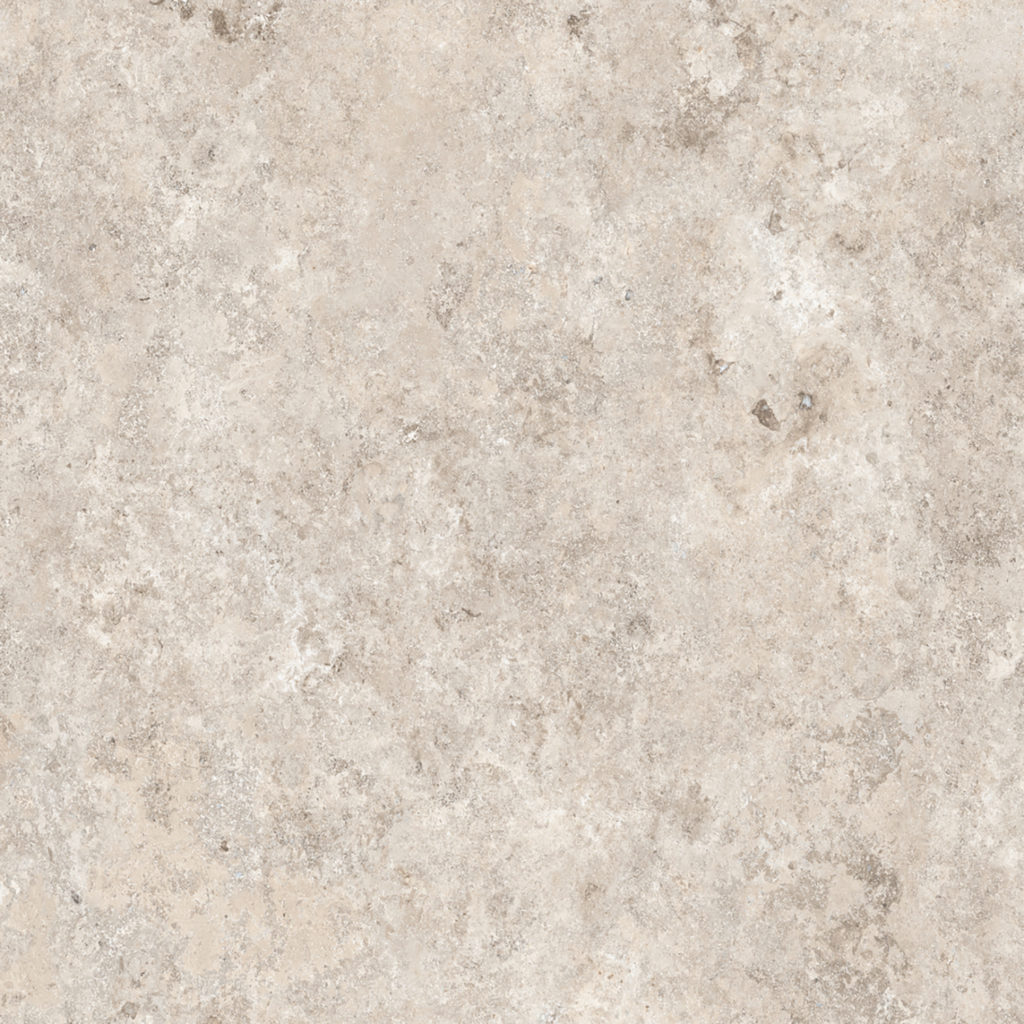 Fossil Blanco 3D